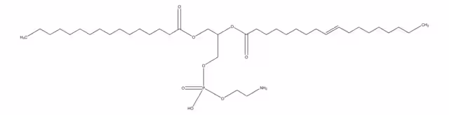 2-OLEOYL-1-PALMITOYL-SN-GLYCERO-3-PHOSPH paquete 1X500MG