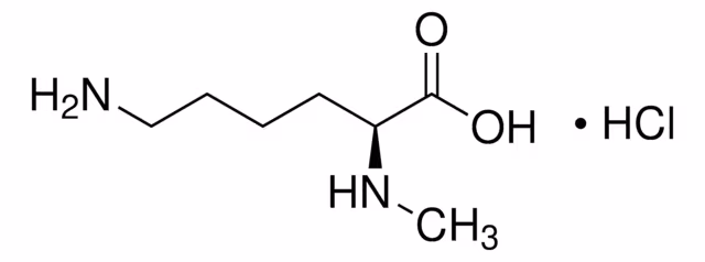 MONOHIDROCLORURO DE NA-METIL-L-LISINA pack 1X100MG