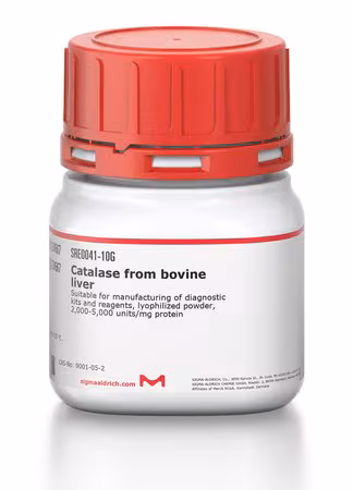 CATALASE DE HÍGADO BOVINO pack 1X10G