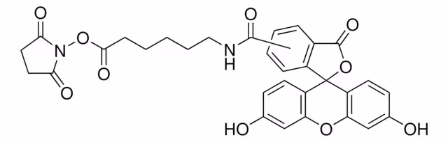 6-[FLUORESCEÍNA-5(6)-CARBOXAMIDO]HEXANOI& pack 1X25MG