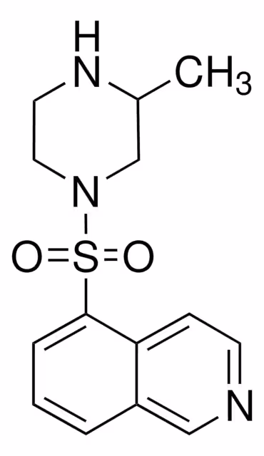 1-(5-ISOQUINOLINSULFONIL)-3-METILPIPA& pack 1X5MG