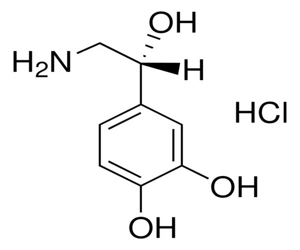 CLORHIDRATO DE L-NOREPINEFRINA& pack 1X1G