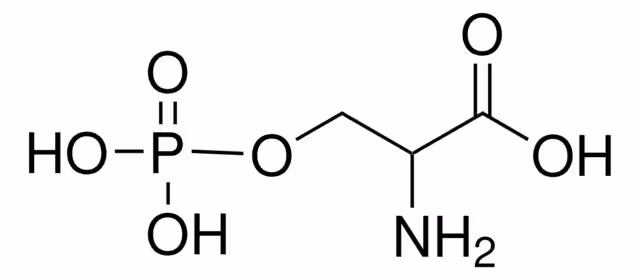 O-FOSFO-DL-SERINA >= 98,0% (NT) paquete 1X50G