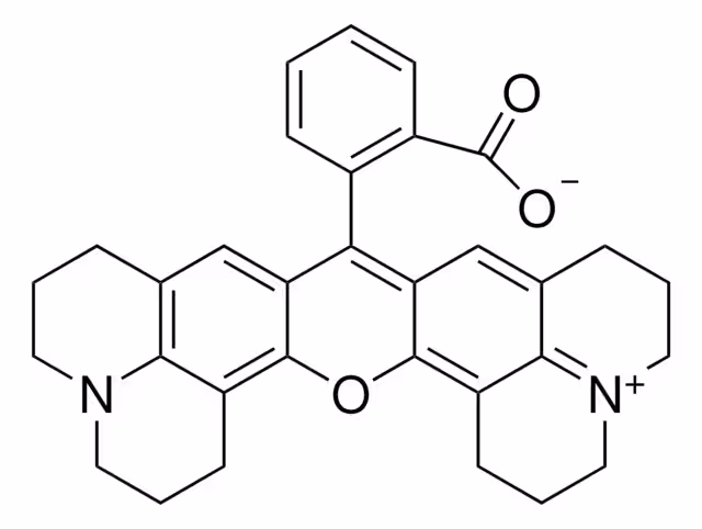 Rhodamine 101 sal interna para el paquete de fluorescencia 1X500MG
