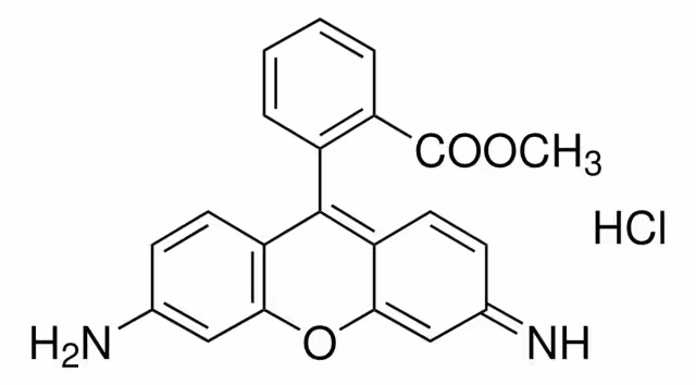 BIORREACTIVO RODAMINA 123, >=85% (H& pack 1X50MG