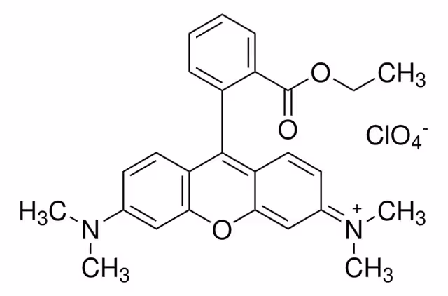 TETRAMETILRODAMINA ÉSTER ETÍLICO PERCHL& paquete 1X25MG