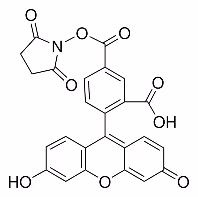 5-CARBOXIFLUORESCEÍNA N-SUCCINIMIDIL EST& pack 1X5MG