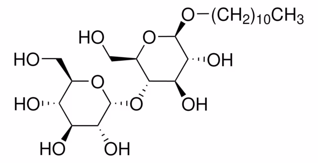 UNDECYL B-D-MALTOSIDE >= 9& paquete 1X1G
