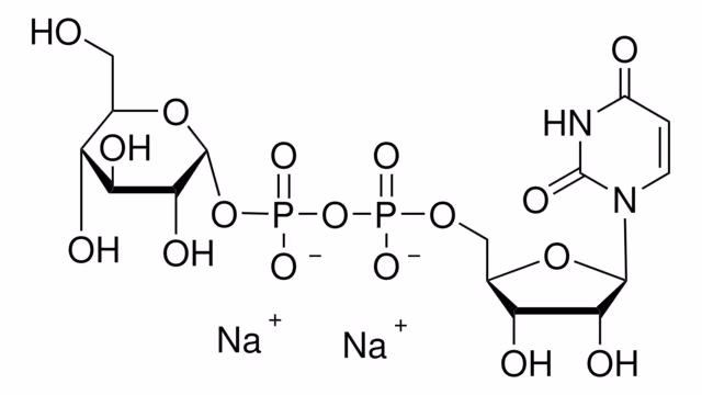 URIDINA-5'-DIFOSFOGLUCOSA DISÓDICA pack 1X1G