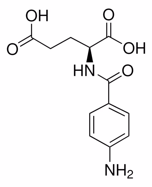 ÁCIDO N-(P-AMINOBENZOILO)-L-GLUTÁMICO pack 1X5G