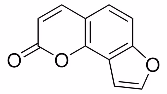 ANGELICINA pack 1X10MG