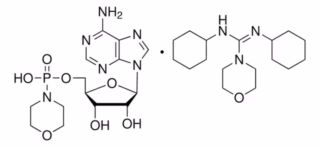 ADENOSINA 5'-MONOFOSFOMORFOLIDATO pack 1X1G