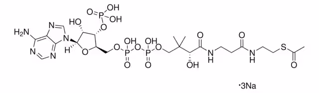 ACETIL COENZIMA A (C2:0) SODIO PREPARAR& pack 1X100MG