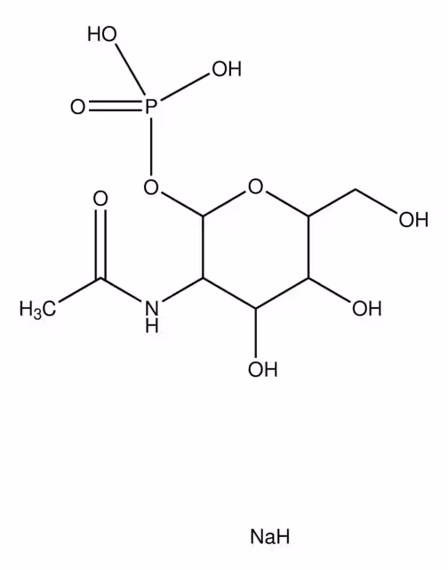 N-ACETIL-ALFA-D-GLUCOSAMINA 1-PHOS& pack 1X5MG