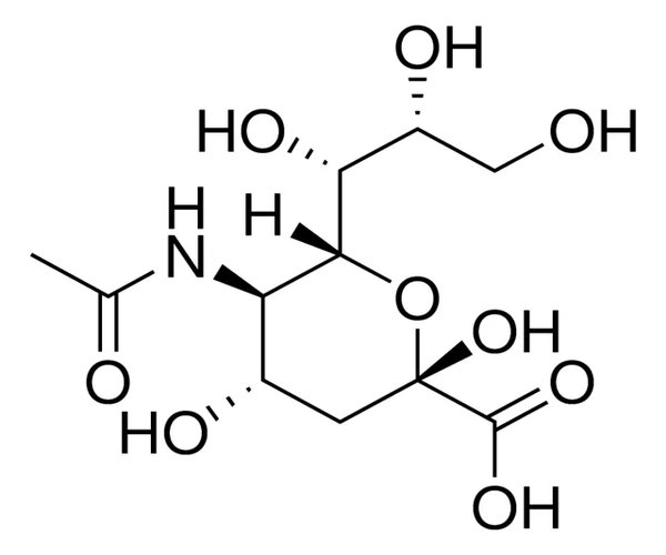 ÁCIDO N-ACETILNEURAMÍNICO DE ESCHERICHI& pack 1X1G