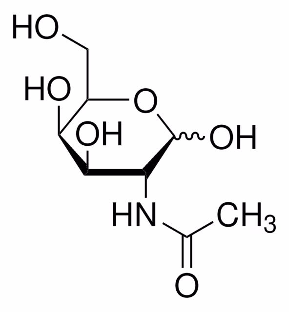 N-ACETIL-D-GALACTOSAMINA pack 1X100MG