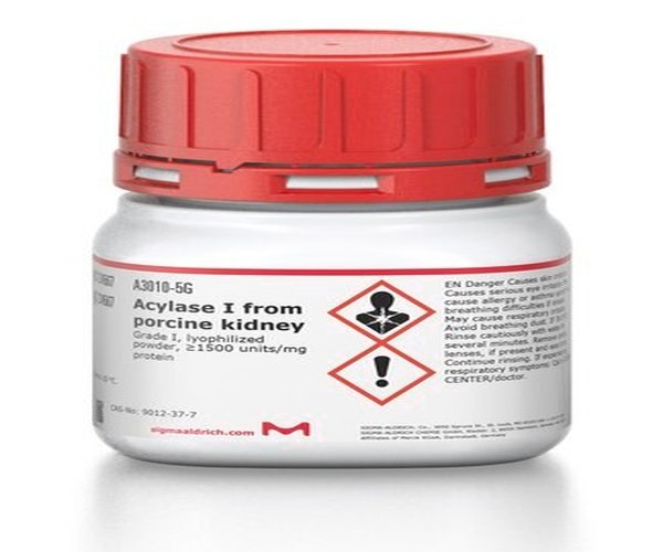 ACILASE I DE RIÑON PORCINO, GRADO I, envase 1X1G
