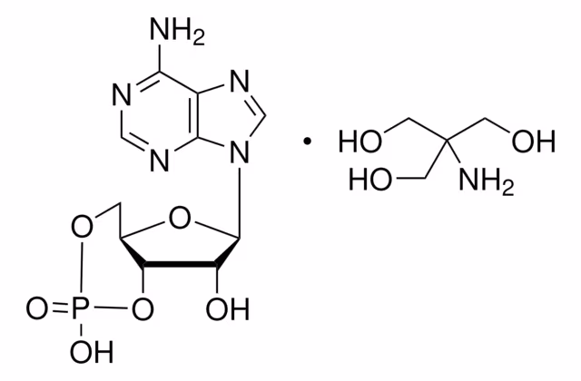 ADENOSINA 3',5'-MONOFOSFATO CÍCLICO& pack 1X500MG