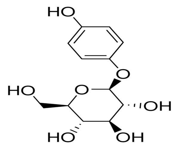 ARBUTIN pack 1X25G