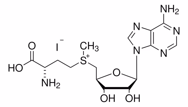 YODURO DE S-(5-ADENOSIL)-L-METIONINA pack 1X5MG
