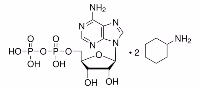 ADENOSINA 5'-DIFOSFATO & pack 1X1G