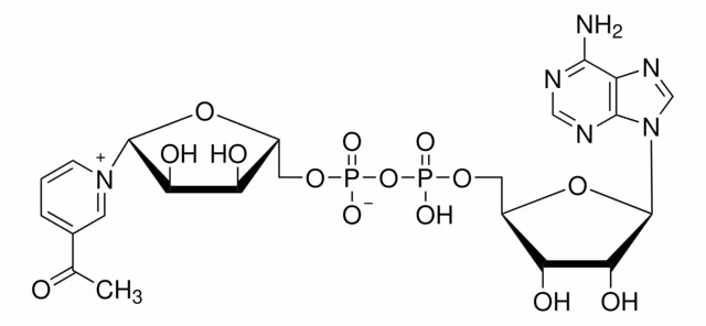 3-ACETILPIRIDINA ADENINA DINUCLEÓTIDO paquete 1X1G
