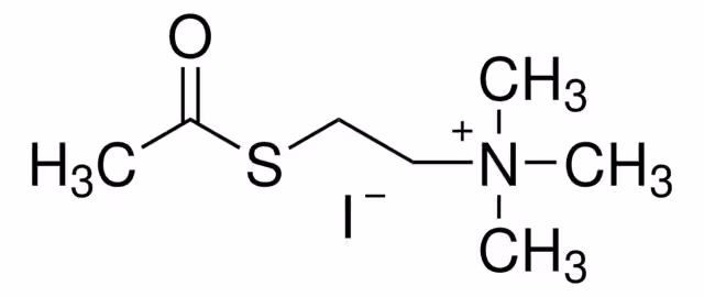 YODURO DE ACETILTIOCOLINA pack 1X25G