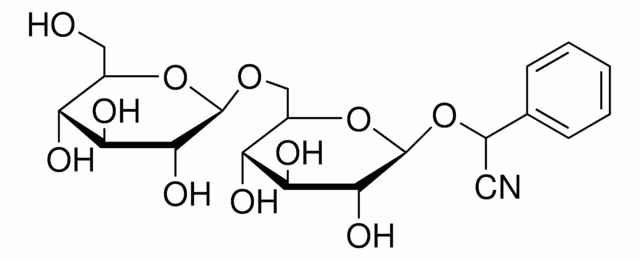 AMYGDALINA DE HUESOS DE ALBARICOQUE pack 1X1G
