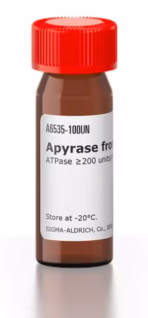 APYRASA GRADO VII DE PATATA pack 1X500UN
