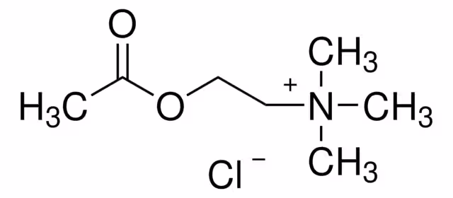 CLORURO DE ACETILCOLINA pack 1X25G