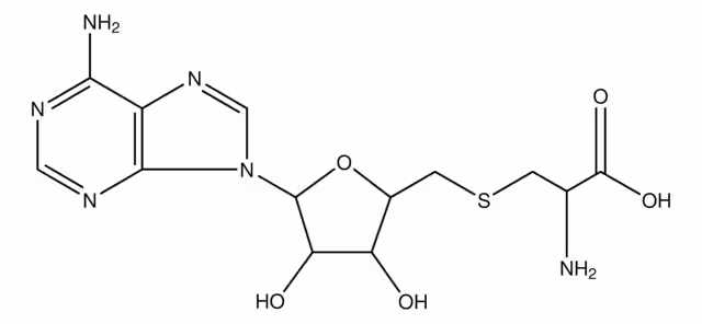 S-ADENOSIL-L-CISTEÍNA pack 1X100MG