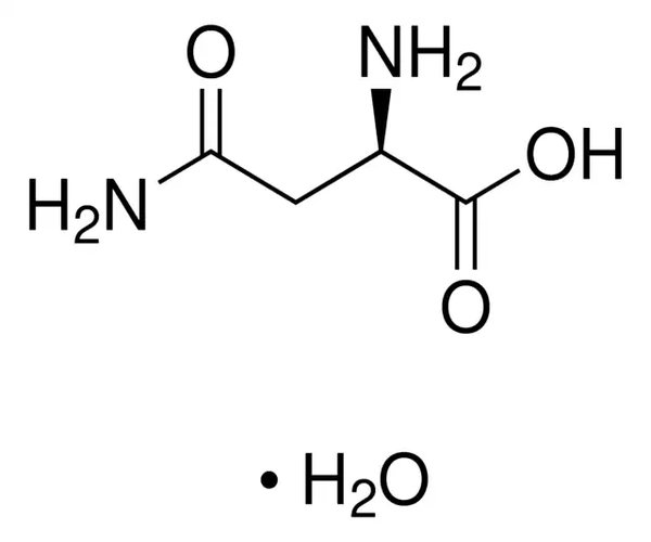 D-ASPARAGINA MONOHIDRATO, >=99% (TLC) pack 1X25G