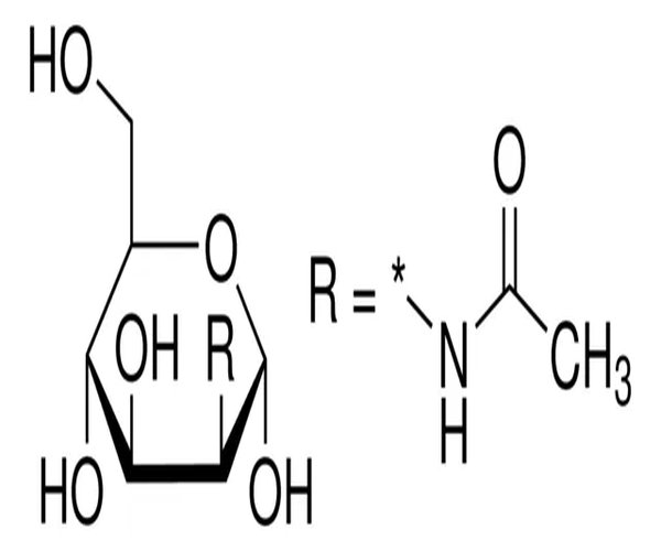 N-ACETIL-D-MANNOSAMINA pack 1X5G
