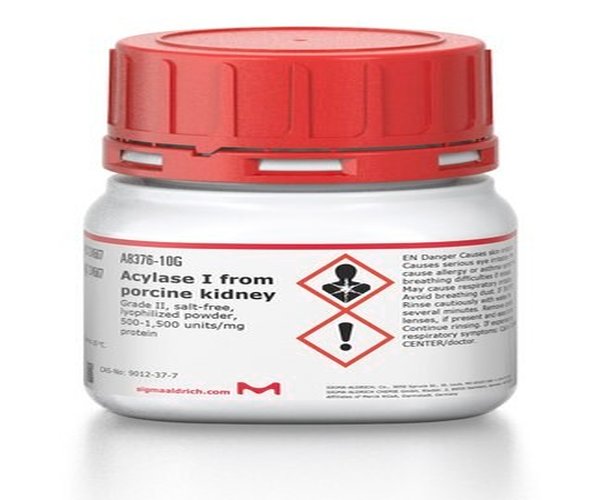 ACILASE I GRADO II DE RIÑON DE CERDO pack 1X1G