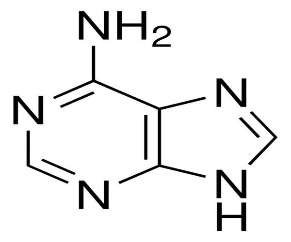 ADENINA , >=99% paquete 1X5G