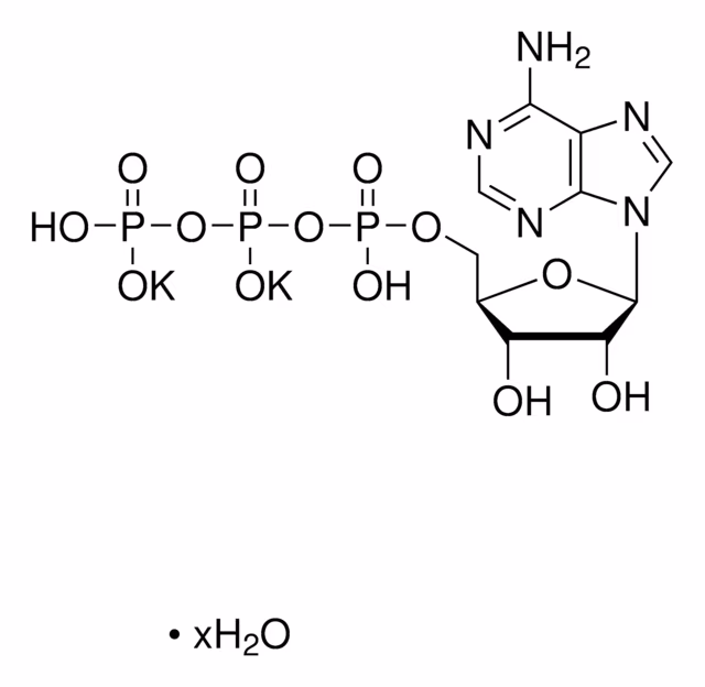 ADENOSINA 5-TRIFOSFATO DIPOTASIO pack 1X5G