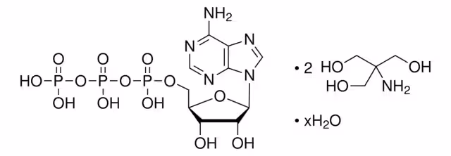 ADENOSINA 5'-TRIFOSFATO DI(TRIS)& pack 1X100MG