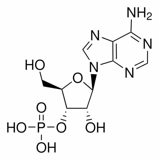 ÁCIDO LIBRE ADENOSINA 3'-MONOFOSFATO pack 1X100MG