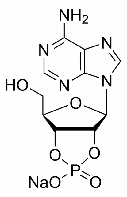 ADENOSINA 2',3'-MONOFOSFATO CÍCLICO& pack 1X250MG