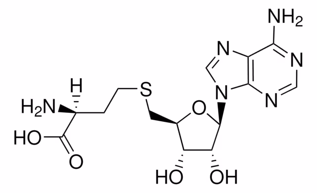 S-ADENOSIL-L-HOMOCISTEÍNA pack 1X100MG