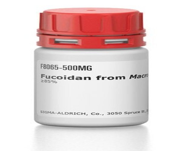 FUCOIDAN DE MACROCYSTIS PYRIFERA >=85% envase 1X500MG