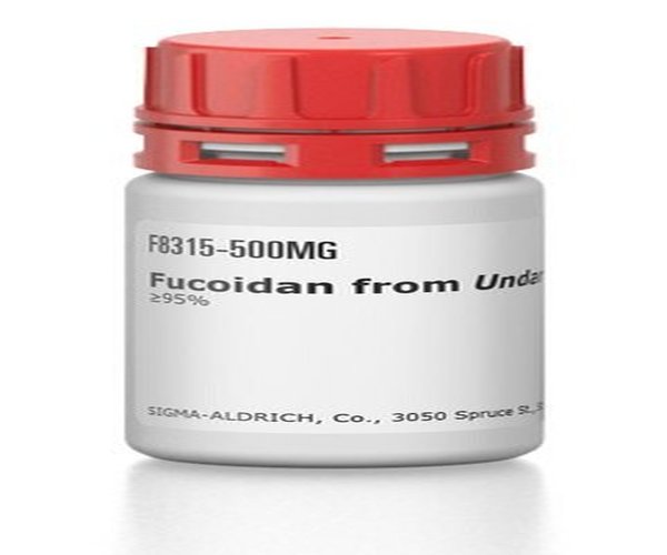 FUCOIDAN DE UNDARIA PINNATIFIDA >=95% pack 1X500MG
