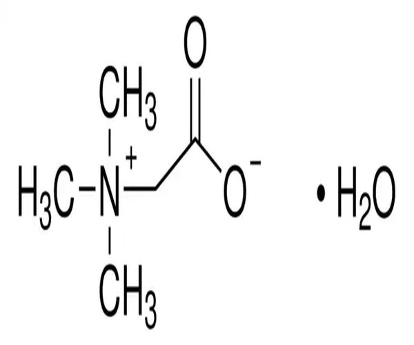 BETAINA MONOHIDRATO pack 1X1KG