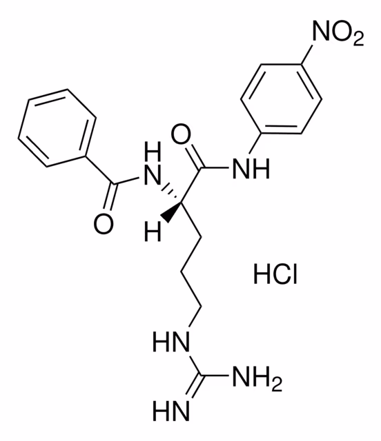 NA-BENZOIL-L-ARGININA P-NITROANILIDA & pack 1X100MG