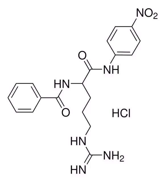 NALPHA-BENZOIL-DL-ARGININA 4 y paquete 1X500MG