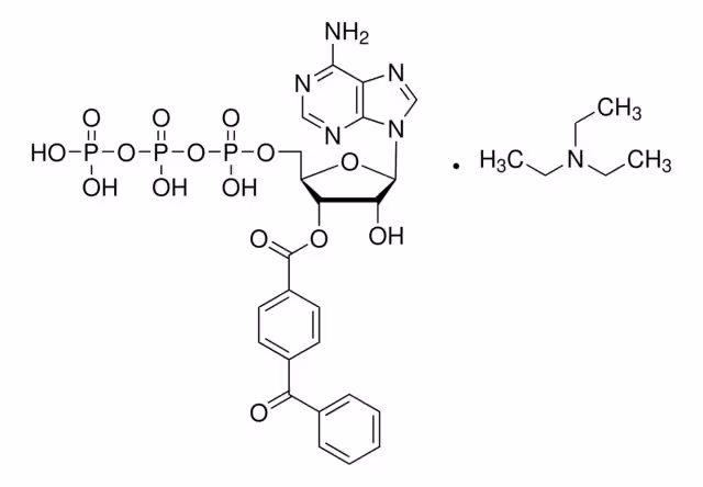 2'(3')-O-(4-benzoilbenzoilo)adenosina& paquete 1X5MG