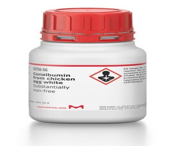 CONALBUMINA SUSTANCIALMENTE LIBRE DE HIERRO pack 1X100MG