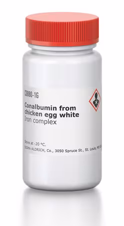 CONALBUMINA COMPLEJO DE HIERRO pack 1X1G