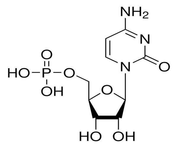 CITIDINA 5'-MONOFOSFATO, GRADO SIGMA& pack 1X500MG
