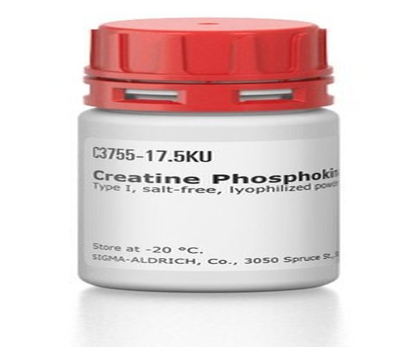 CREATINA FOSFOQUINASA TIPO I DE & pack 1X3.5KU